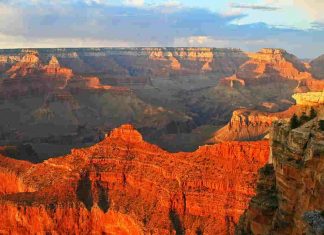 Wonders of Nature! Wonders of Nature - 1